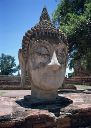 ホテル白馬でレジャーも温泉も楽しむ